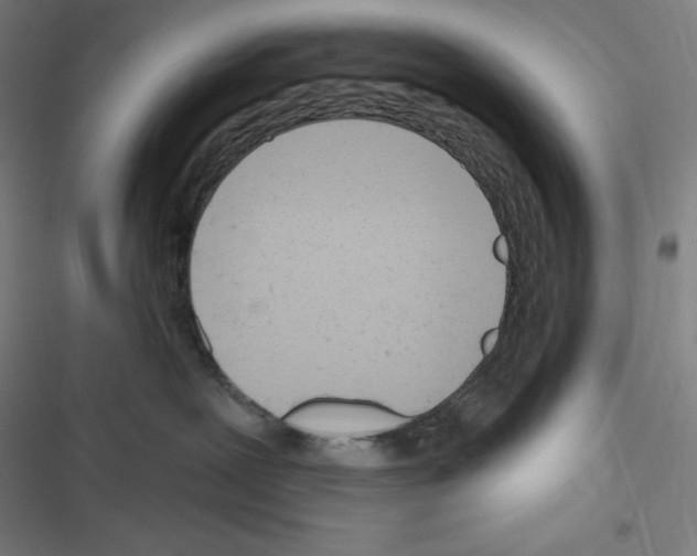 X0000116300239201001111124