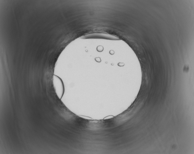 X0000116300240201001111124