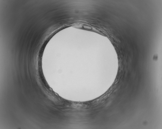 X0000116300242201001111123