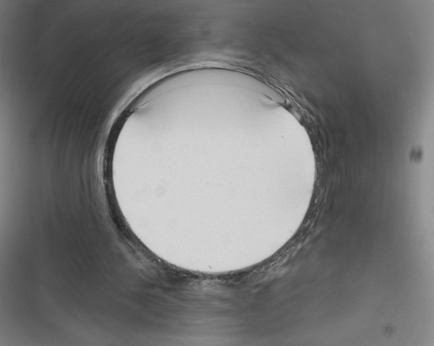 X0000116300244201001111123