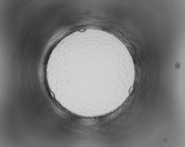 X0000116300245201001111123