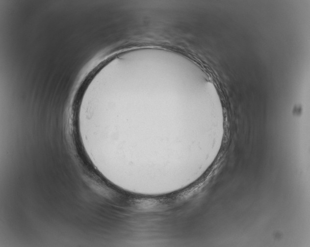 X0000116300246201001111123