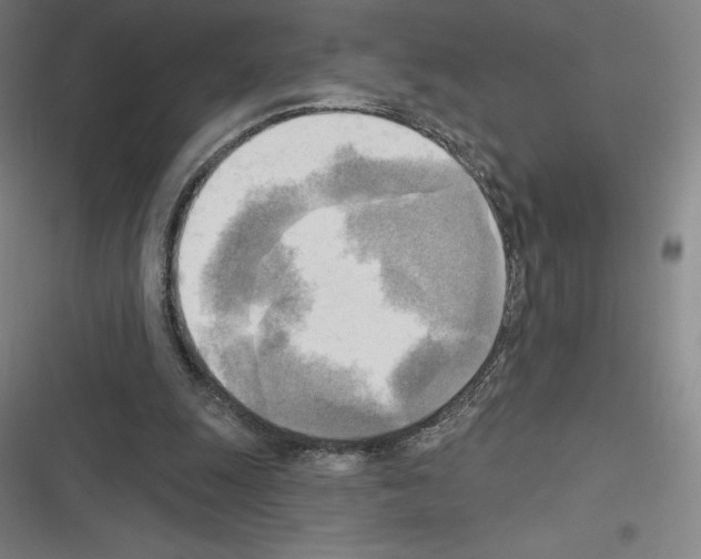 X0000116300247201001111123