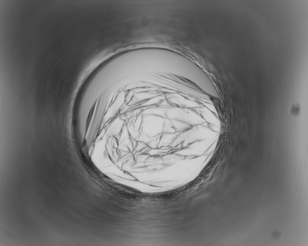 X0000116300248201001111123