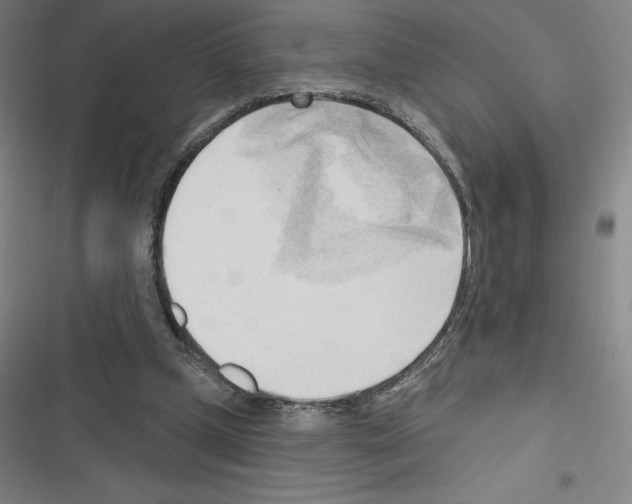 X0000116300249201001111123