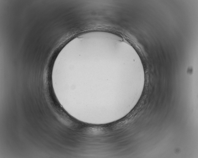 X0000116300250201001111123