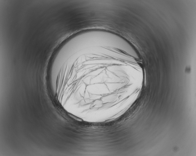 X0000116300252201001111123