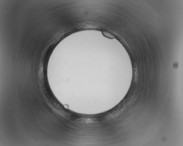 X0000116300254201001111123