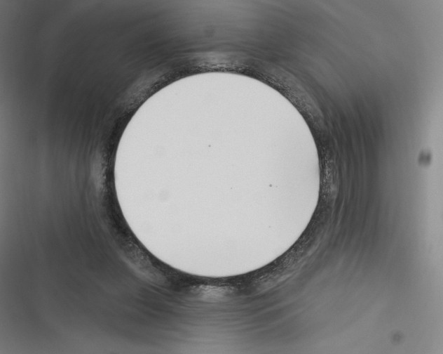 X0000116300255201001111123