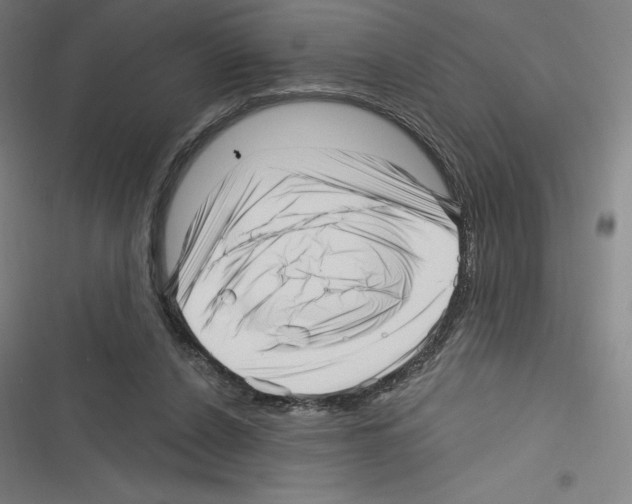 X0000116300256201001111123