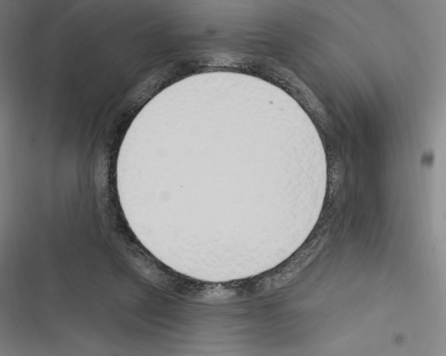 X0000116300257201001111123