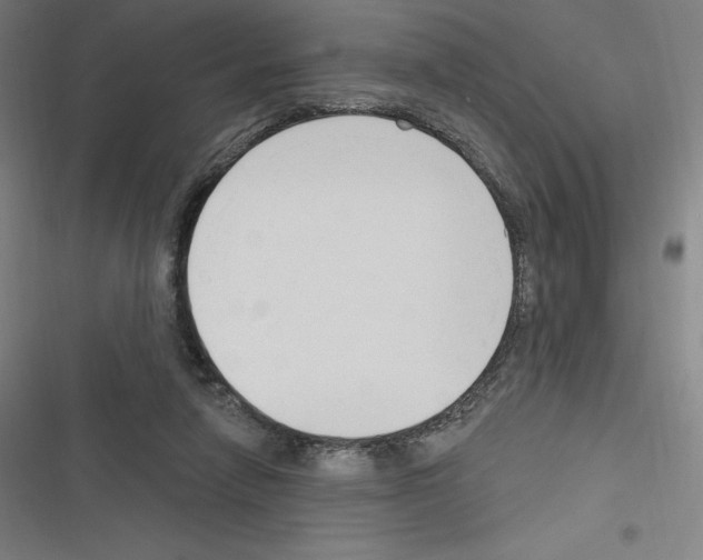 X0000116300258201001111123