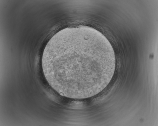 X0000116300260201001111123