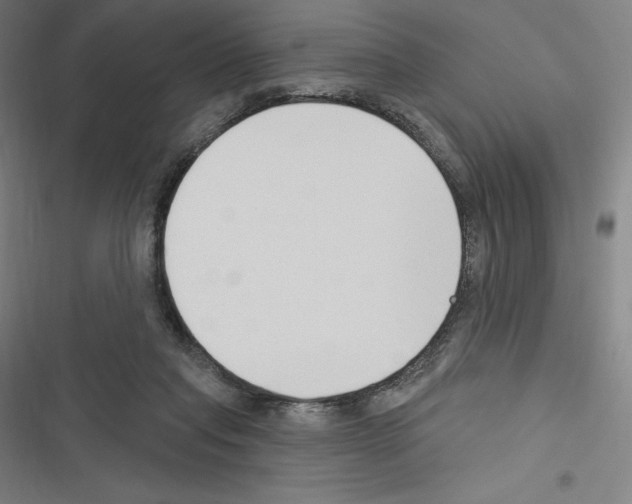 X0000116300261201001111123