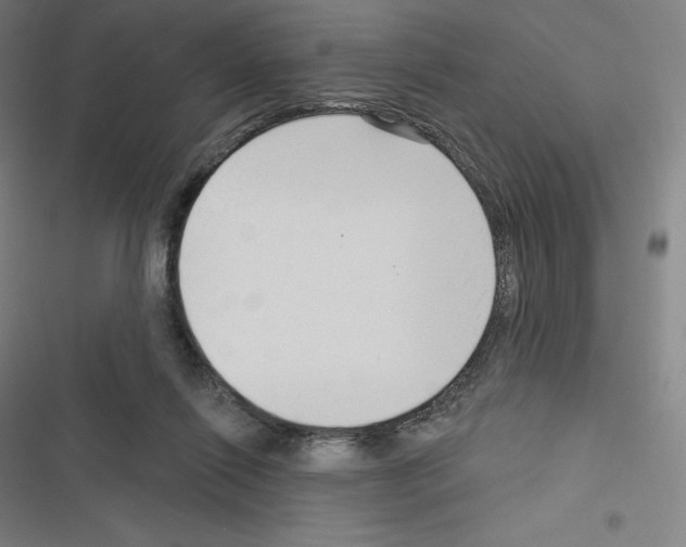 X0000116300262201001111123