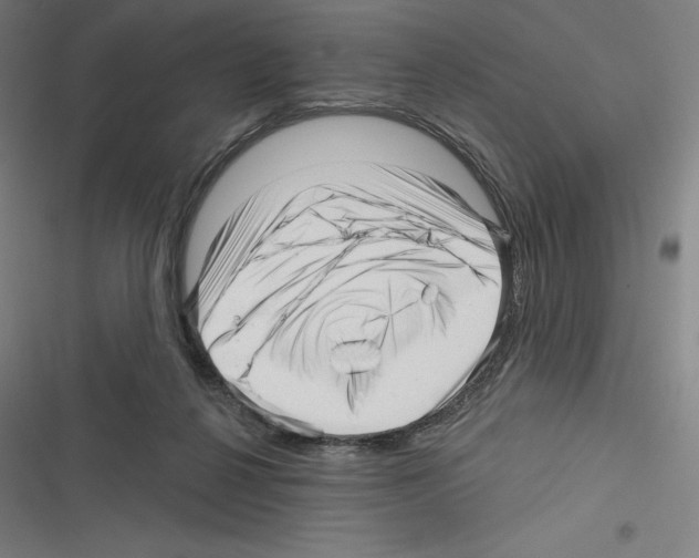 X0000116300264201001111123