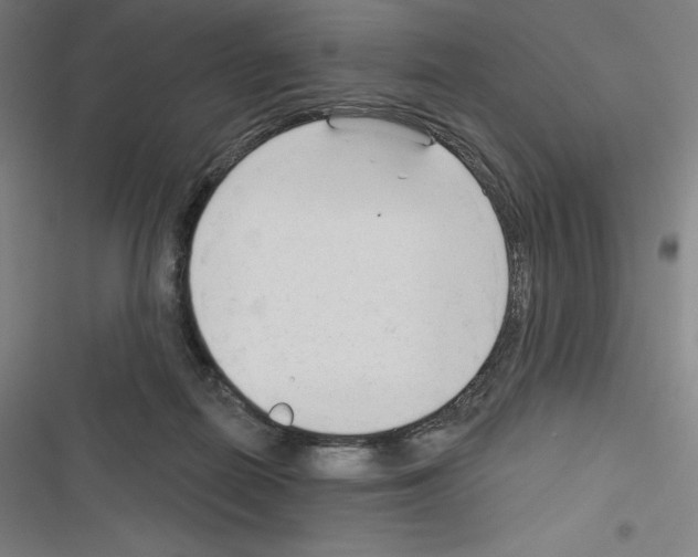 X0000116300266201001111123