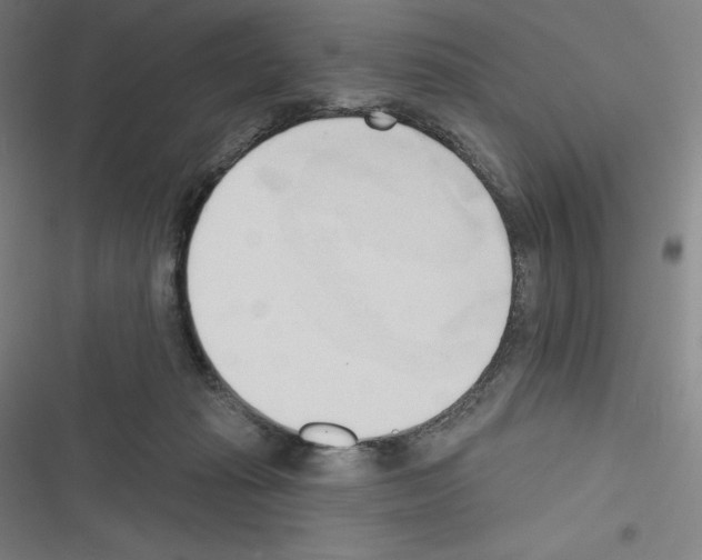 X0000116300269201001111123