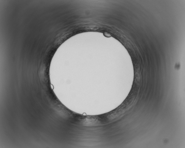 X0000116300270201001111123