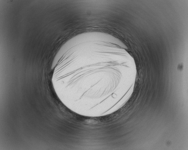 X0000116300272201001111124