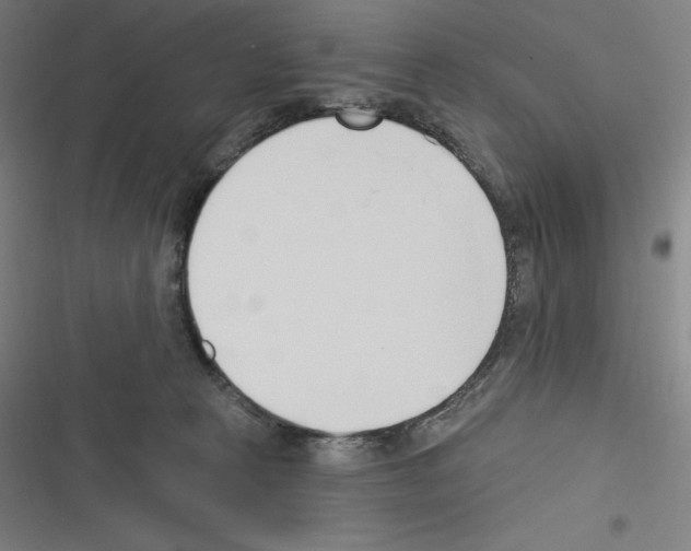 X0000116300273201001111124