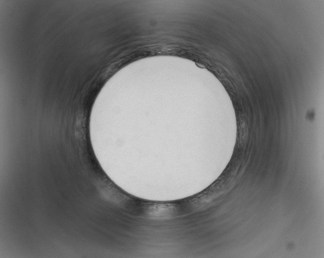 X0000116300274201001111124