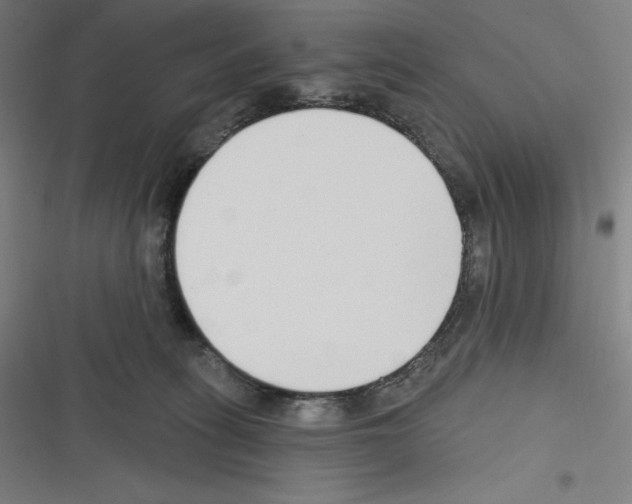 X0000116300275201001111124