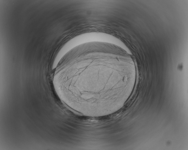 X0000116300276201001111124