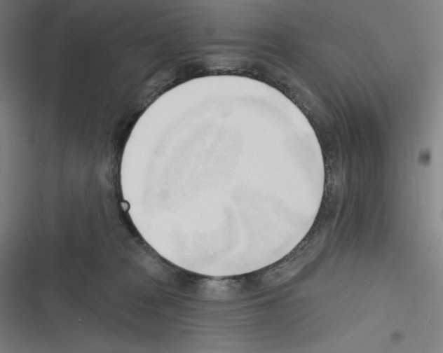 X0000116300277201001111124