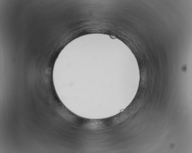 X0000116300278201001111124