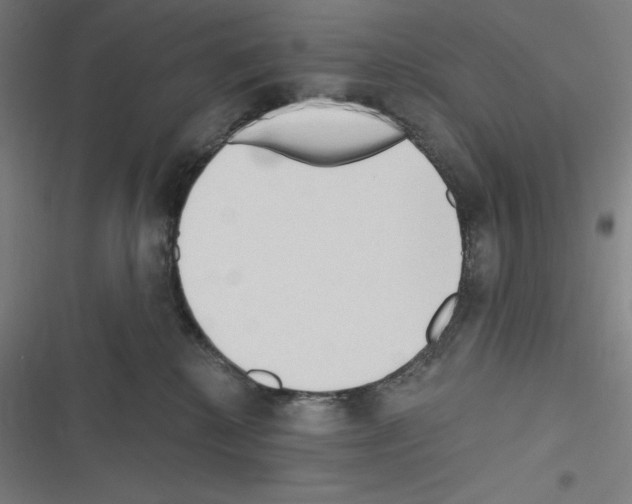 X0000116300280201001111124