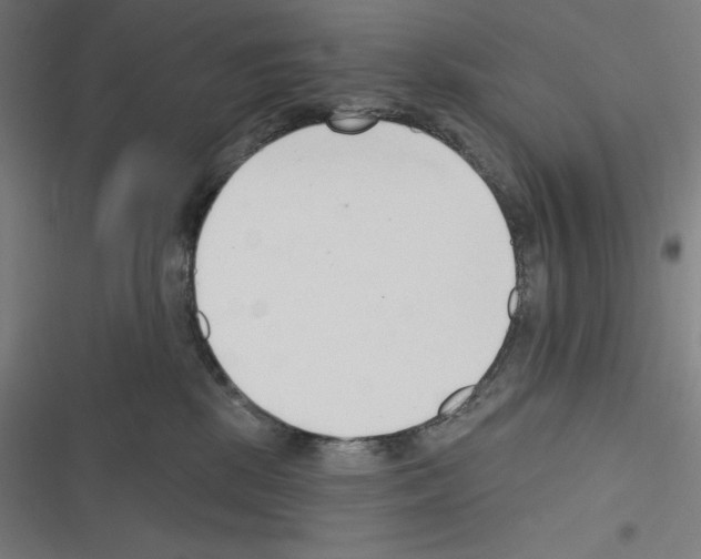 X0000116300281201001111124