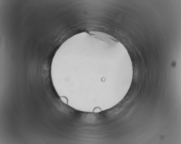 X0000116300282201001111124