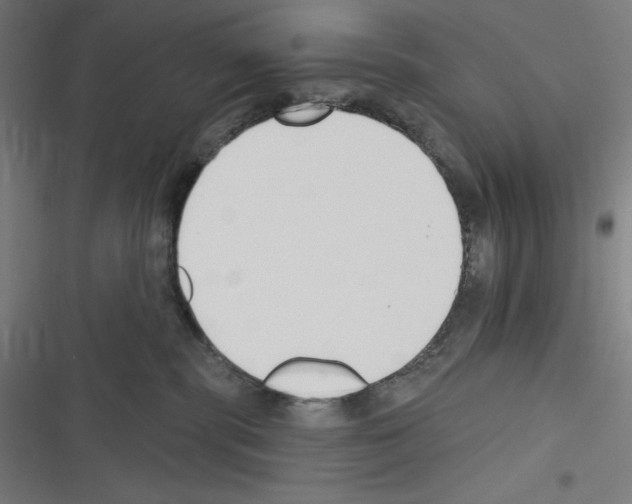 X0000116300283201001111124