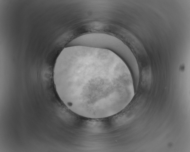 X0000116300284201001111124