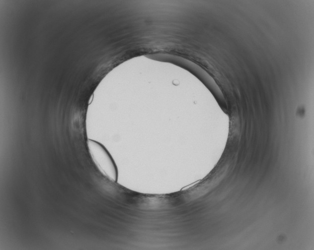 X0000116300286201001111124