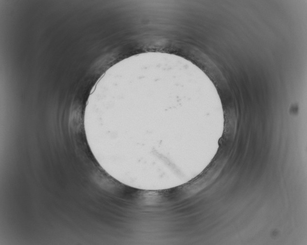 X0000116300287201001111124