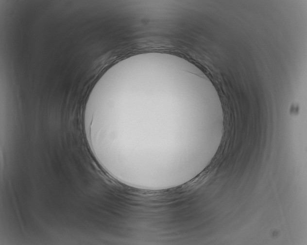 X0000116300288201001111124