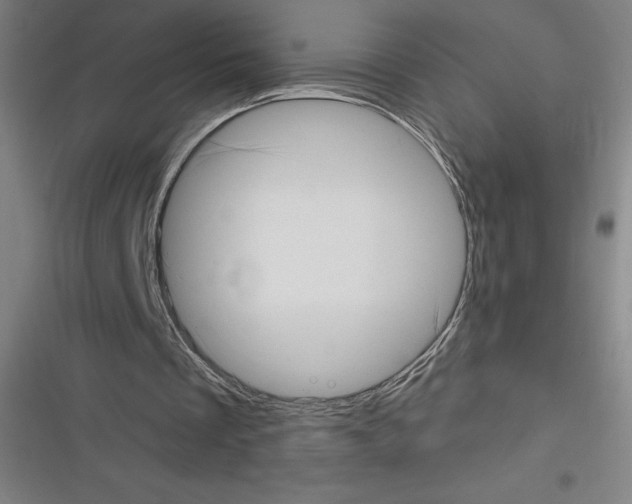 X0000116300289201001111123