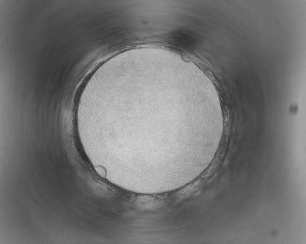 X0000116300290201001111123