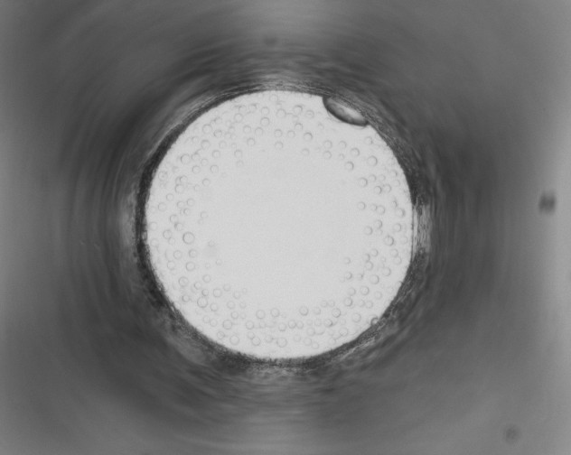 X0000116300291201001111123