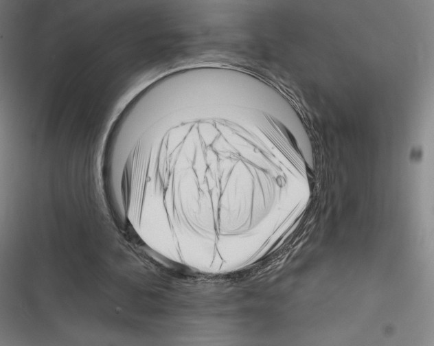 X0000116300292201001111123