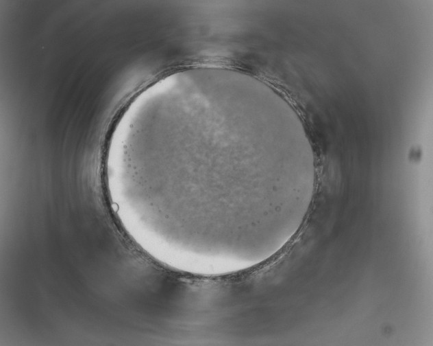 X0000116300293201001111123