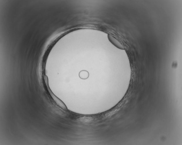 X0000116300294201001111123