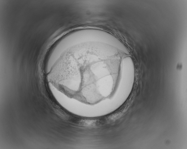 X0000116300295201001111123