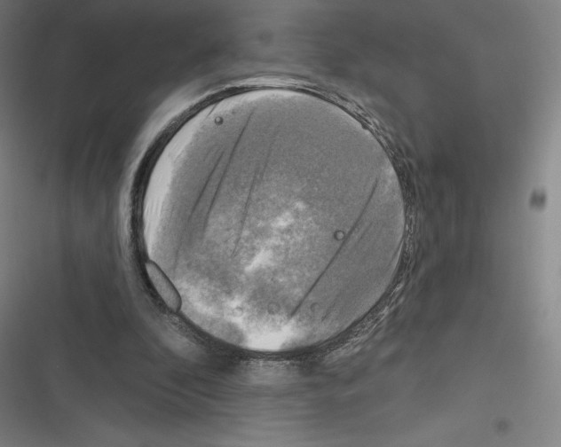 X0000116300296201001111123