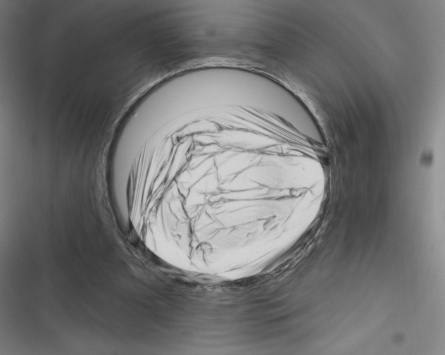 X0000116300297201001111123