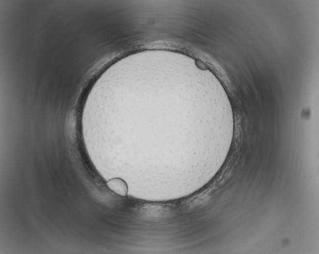 X0000116300298201001111123