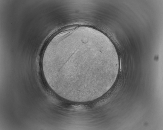 X0000116300300201001111123