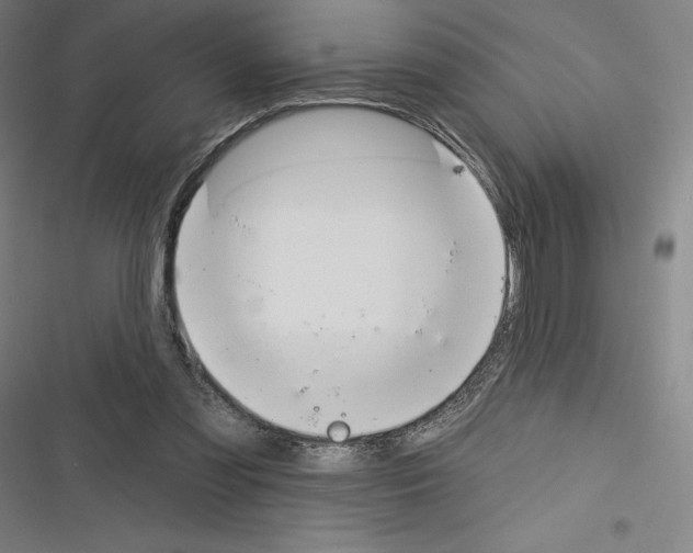 X0000116300301201001111123